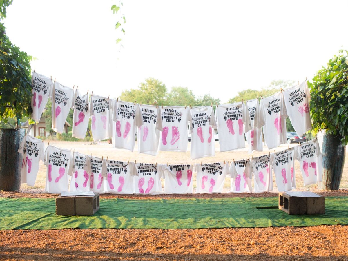 Texas Hill Country Harvest Season 2026: The Best Grape Stomps & Harvest&nbsp;Events